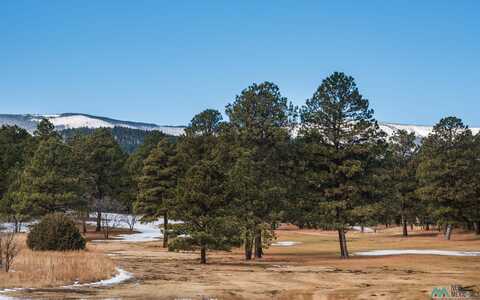 Lot 92 West Forest Drive, Rociada, NM 87742