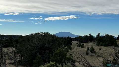 Horseshoe Circle, Quemado, NM 87829