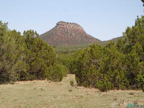 Tr 2b Camino Del Sol Road, Bernal, NM 87569