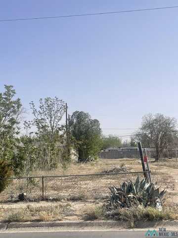 1003 W Fox Street, Carlsbad, NM 88220