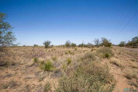 Lot: 3 Block 3, Willard, NM 87063