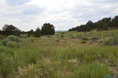 Tbd Candy Kitchen Road, Candy Kitchen, NM 87321