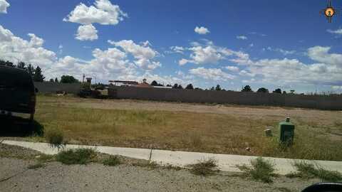 000000 Gila Ct Street, Deming, NM 88030