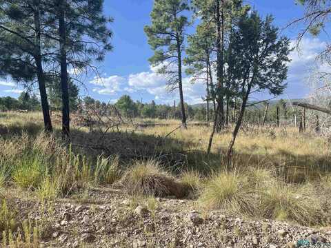 27 Balkans Drive, Timberon, NM 88350