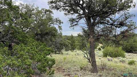 Elk Pass Loop, Pie Town, NM 87827