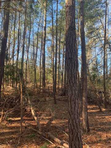 Lot 1 Locust Cove Rd, Heathsville, VA 22473