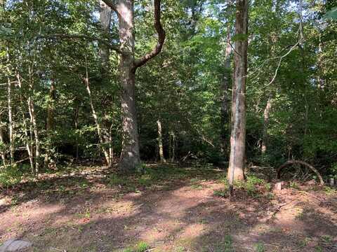 Lot 187 Lake Drive, Lancaster, VA 22503