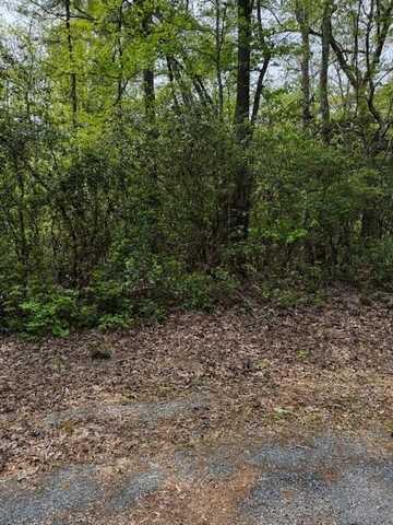 Lot#42 Knights Landing Drive, Heathsville, VA 22473