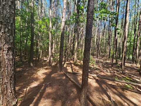 Lot 41 Stoneman Lane, Heathsville, VA 22473