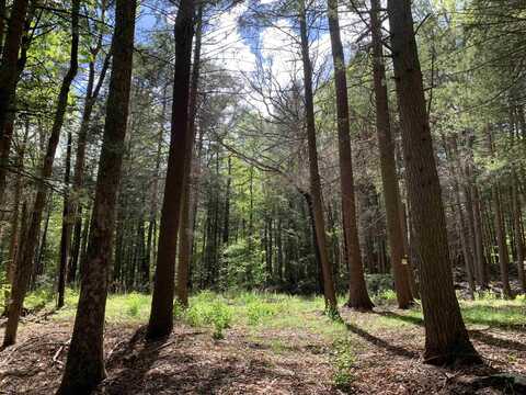 19 Shag Bark Hill, Putney, VT 05346