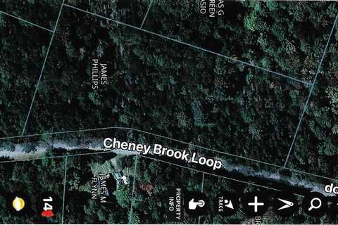 57 Cheney Brook Loop, Dover, VT 05356