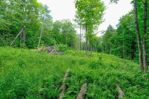 Lot 2A Preedom Hill Road North, Ludlow, VT 05149