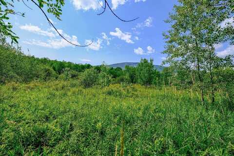 00 Town Farm Road, Ludlow, VT 05149