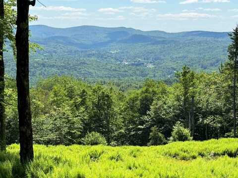 0 Spruce Grove Road, Wilmington, VT 05363