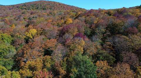 1052 CCC Road, Shrewsbury, VT 05738