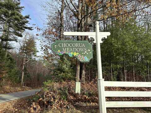 Lot 2 Alden Washburn Drive, Tamworth, NH 03886