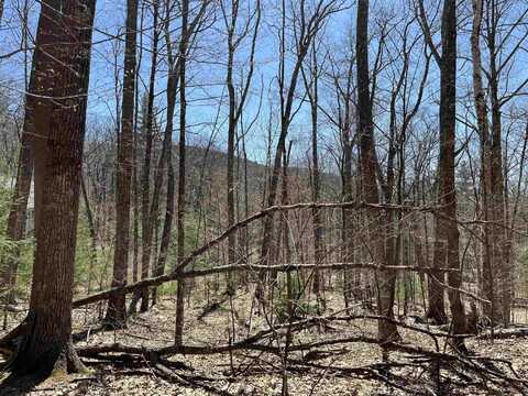 Tobey Road, Campton, NH 03223