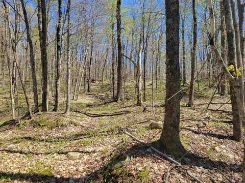 Lot 120 Beartown Road, Underhill, VT 05489