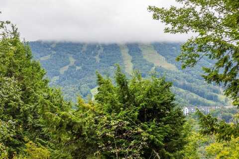 Rock Ridge Road, Winhall, VT 05340