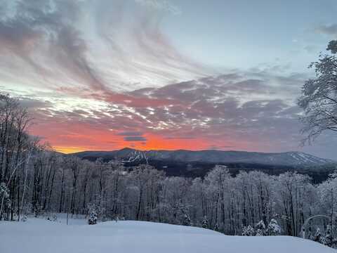 136 Woodsman Road Extension, Dover, VT 05356