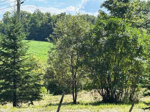 1587 Walden Hill Road, Danville, VT 05828