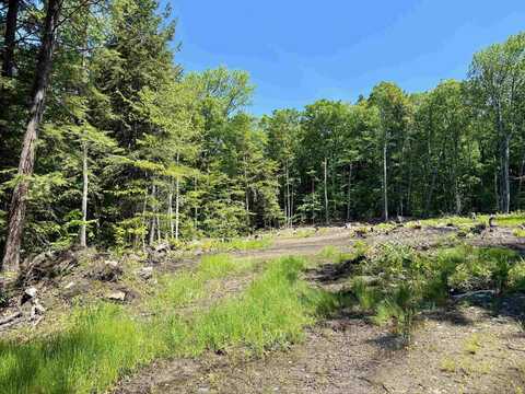 585 Sawmill Road, Wardsboro, VT 05360