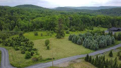 0 Lot 1 Emzaga Drive, Williamstown, VT 05679