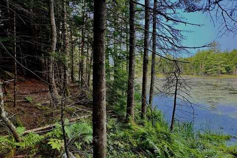 62 Whittier Highway, Sandwich, NH 03227