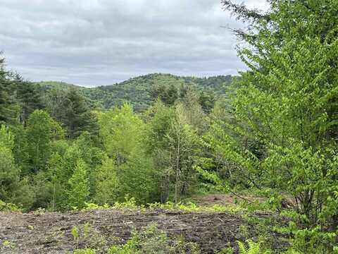 0 Remington Road, Chester, VT 05143