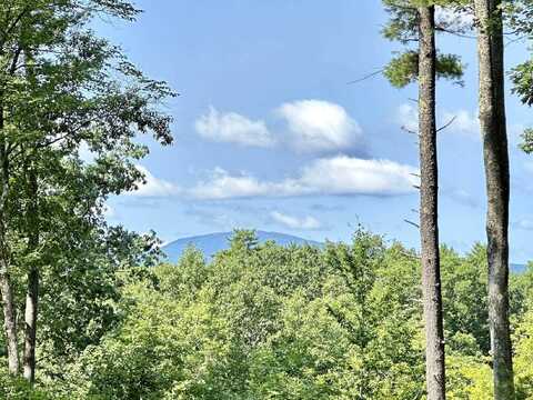 5-3 Sawmill Road, Greenfield, NH 03047