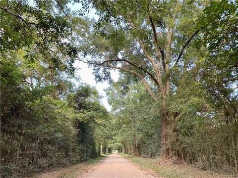 E STATELINE Road, Sandy Hook, MS 39478