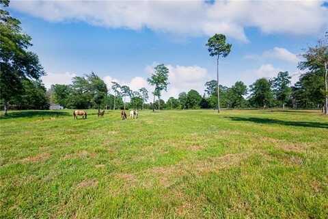 46453 POPLARHEAD Road, Franklinton, LA 70438