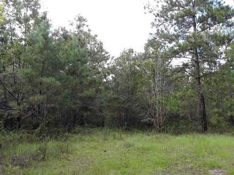 23199 MIXON Road, Amite, LA 70422