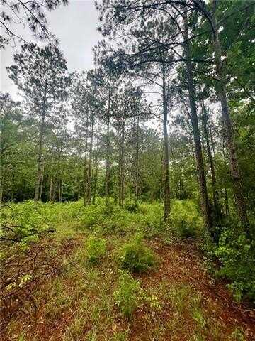 Lot 3 and 7 ROBIN Road, Franklinton, LA 70438