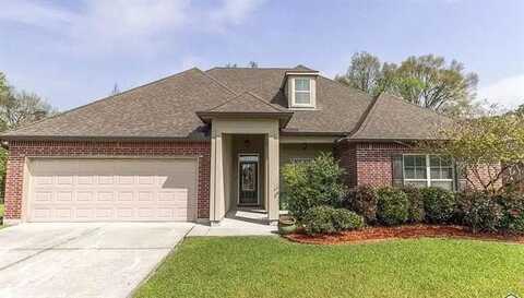 38420 RUE CHATEAU Avenue, Gonzales, LA 70737