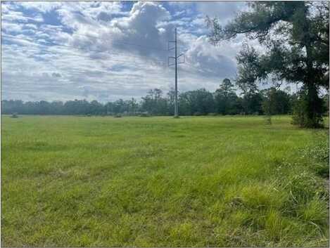 22.748 Acres PUMPKIN CENTER EXIT Highway, Hammond, LA 70403