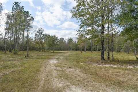 N RANGE Road, Livingston, LA 70754