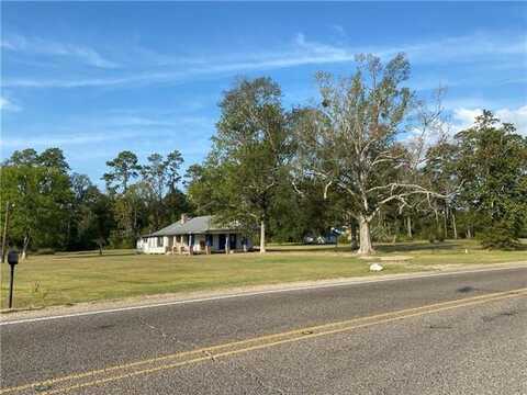 27218 HWY 42 Highway, Springfield, LA 70462