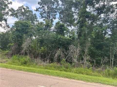 BLANCHE Drive, Ponchatoula, LA 70454