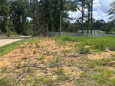 63202 HILL TRACT 1 Street, Roseland, LA 70456