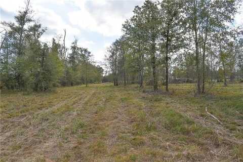 N RANGE Road, Livingston, LA 70754