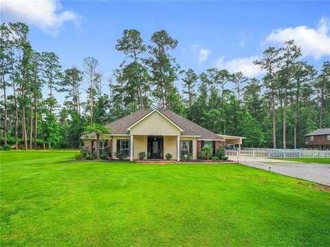 31501 RIVER PINES Drive, Springfield, LA 70462