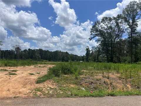 63198 HILL ST TRACT 2 Street, Roseland, LA 70456