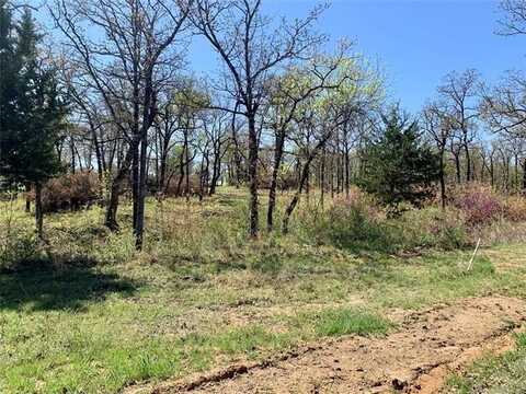 13 S Scissortail, Sulphur, OK 73086