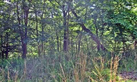 Red Fox Road, Park Hill, OK 74451