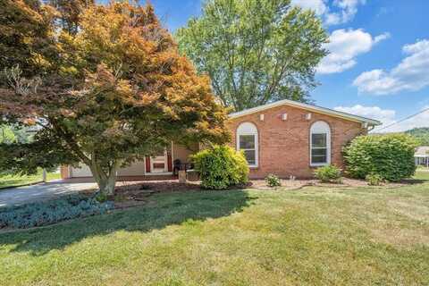 1100 Valleyview Drive, Pearisburg, VA 24134