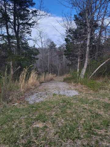 TBD Lot 13 Forest View Lane, Blacksburg, VA 24060