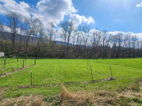 TBD Wolf Creek Road, Narrows, VA 24124