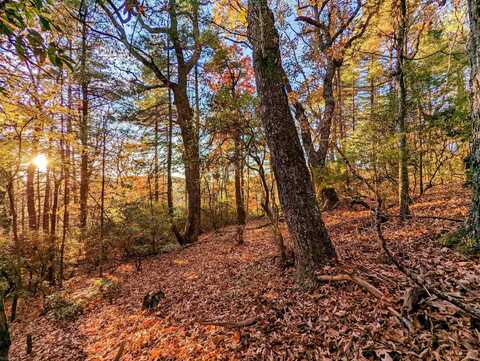 TBD Majestic View Lane, Floyd, VA 24091