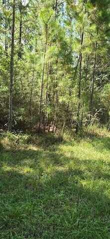 Lot A Glenview Road, Milton, FL 32583